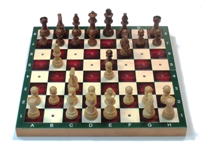 Foto de JUEGO AJEDREZ CHAMPION CHESS